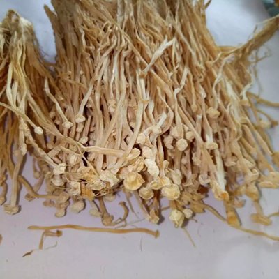 优质金针菇干货 无硫农产品在酒店、提炼厂与畜牧渔业的多领域应用