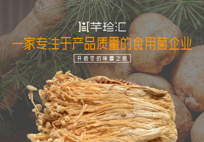 金针菇干货 无硫绿色农产品在酒店、工厂及畜牧渔业的多领域应用