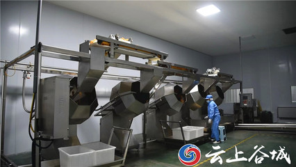 谷城石花镇 以特色农产品深加工为引擎，驱动农业产业链优化升级