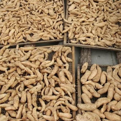 宁陕特产香菇干 从农家餐桌到畜牧渔业的多重价值